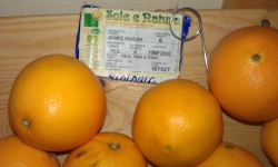 Biopomeranče od Zdravíčka.jpg